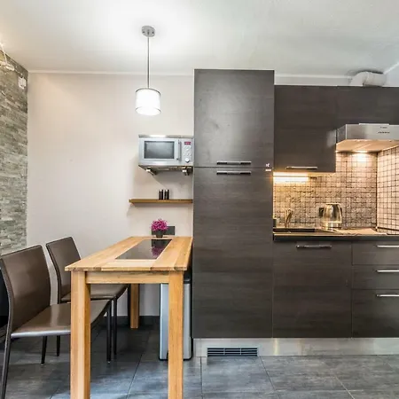 Studio Centre With Mont-blanc View 아파트 *