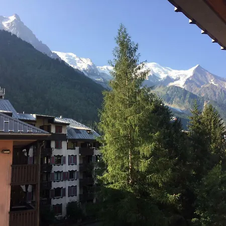 Studio Centre With Mont-blanc View 샤모니
